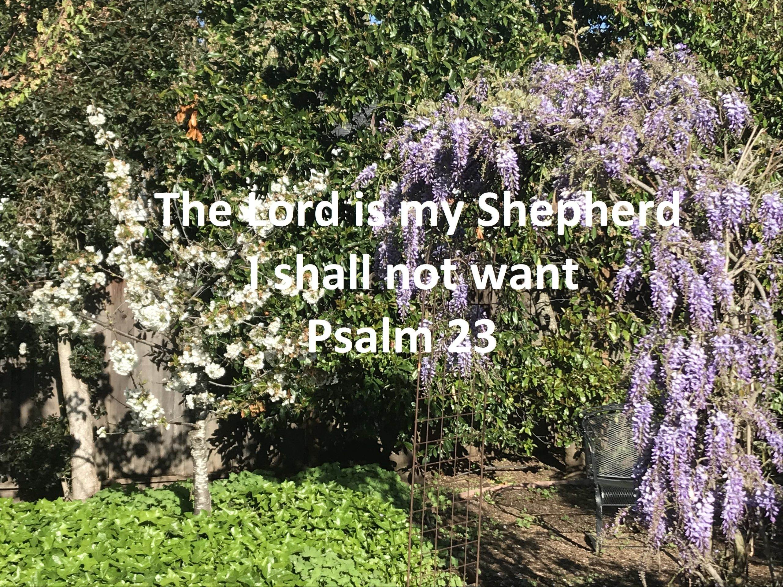 i-shall-not-want-psalm-23-finding-god-in-silicon-valley