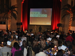 Rescue is not enough2